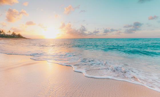 Aiea diz que tsunami no Pacífico não afetou segurança de usinas nucleares